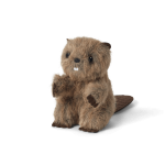 Beaver (Historical Characters)