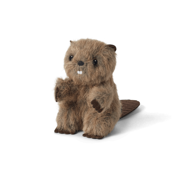 Beaver (Historical Characters)