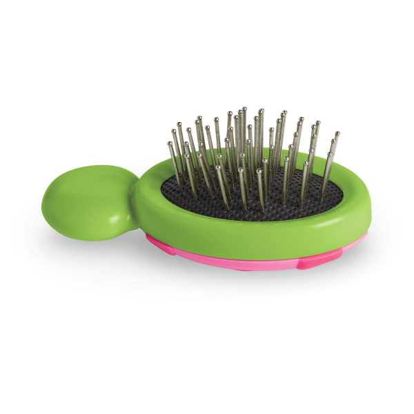 Little Ladybug Brush