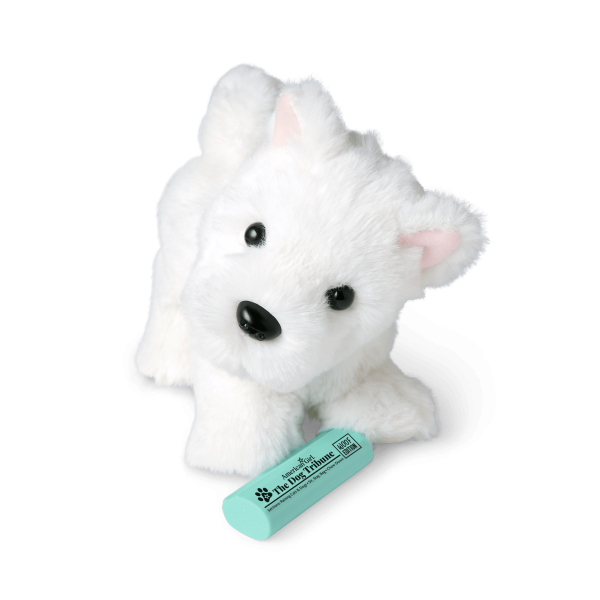 Coconut Chip™ Dog for 18-inch Dolls